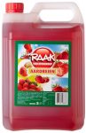 Raak Vruchtensiroop Aardbeien (5 Liter Kanister) Erdbeere-Sirup Kopen