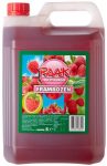 Raak Vruchtensiroop Frambozen (5 Liter Kanister) Sirup Kopen