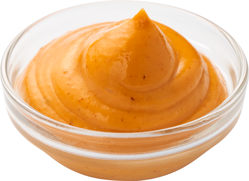 Gouda's Glorie Spicy Andalouse Sauce (6 x 550 ml)