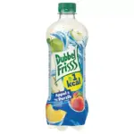 Dubbelfrisss Apfel & Pfirsich (6 x 0,5 Liter PET-Flaschen) Kopen