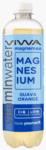 Viwa Magnemax Magnesium Guava Orange Vitaminewater (12 x 0,6 Liter PET fles DE) THT 29-08-26 Kopen