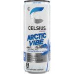 Celsius Arctic Vibe (12 x 0,25 liter blikken NL) Frozen Berry Kopen
