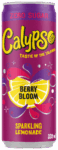 Calypso Berry Bloom Zero (12 x 0,33 Liter blik NL) Kopen