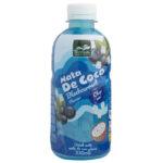 Tropical Nata de Coco Zwarte Bes (12 x 0,33 Liter PET-flessen) Kopen