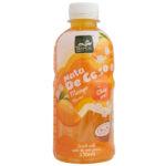 Tropical Nata de Coco Mango (12 x 0,33 Liter PET-flessen) Kopen